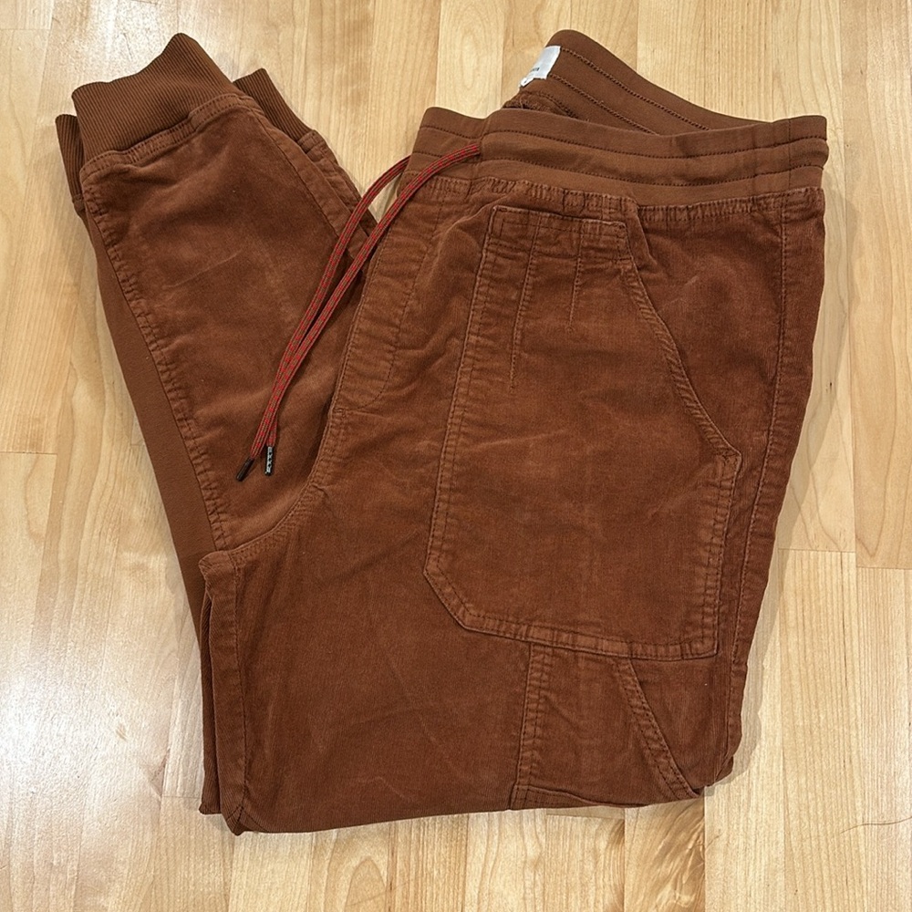 Anthropologie Velvet Cargo Pants
